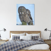 Toile Sitting Great Grey Owl Faune Portrait (Insitu(Chambre))