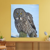 Toile Sitting Great Grey Owl Faune Portrait (Insitu(Salon))