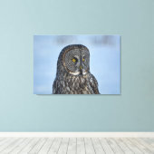Toile Sitting Great Grey Owl Photo de la faune Portrait  (Insitu (Plancher de Bois))