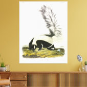 Toile Skunk à capuchon ou Skunk à grande queue d'Audubon (Insitu(Salon))