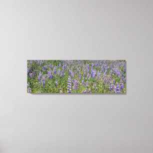 Toile Sky Lupines