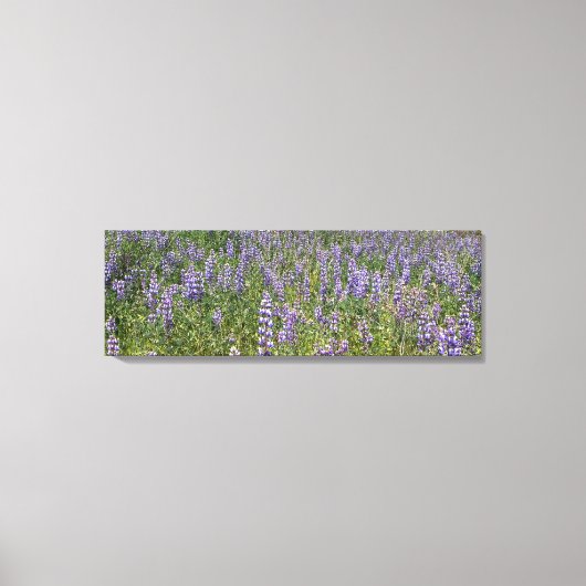 Toile Sky Lupines (Recto)
