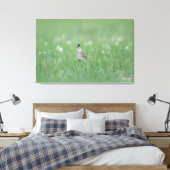 Toile Skylark Eurasien (Insitu(Chambre))