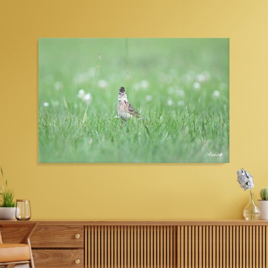 Toile Skylark Eurasien (Insitu(Salon))