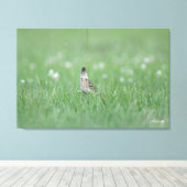 Toile Skylark Eurasien (Insitu (Plancher de Bois))