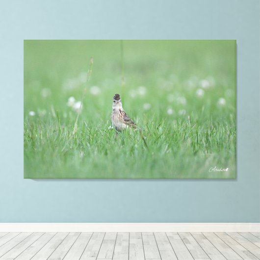 Toile Skylark Eurasien (Insitu (Plancher de Bois))