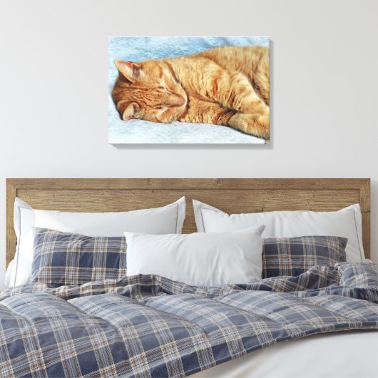 Toile Sleepy Kitty (Insitu(Chambre))