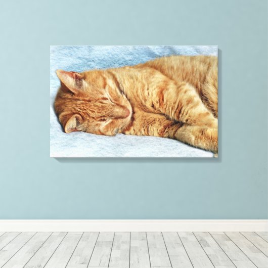 Toile Sleepy Kitty (Insitu (Plancher de Bois))
