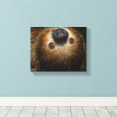 Toile Sloth à deux doigts du Sud (Insitu (Plancher de Bois))