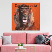 Toile Smart Irish Setter Dog (Insitu(Salon))