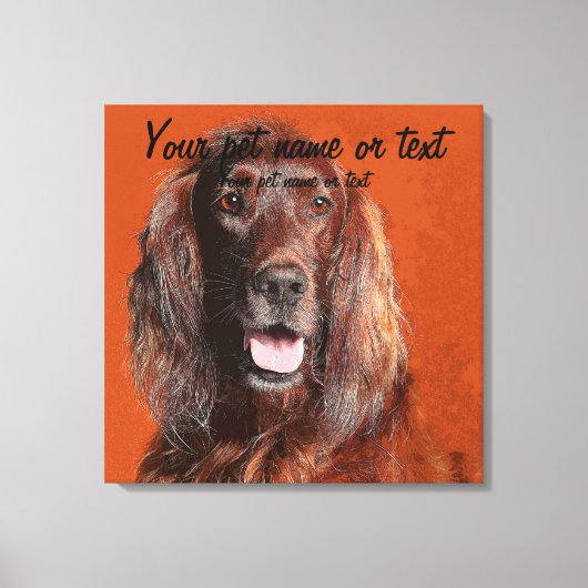 Toile Smart Irish Setter Dog (Recto)