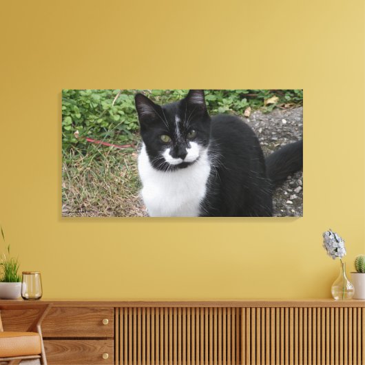 Toile Smiler Charity (Insitu(Salon))