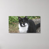 Toile Smiler Charity  (Recto)