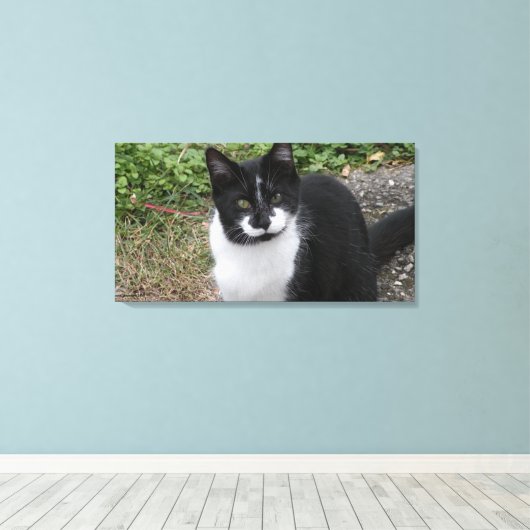 Toile Smiler Charity  (Insitu (Plancher de Bois))