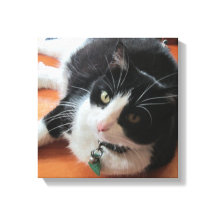 Smokey Le Canvas Chat Imprimer