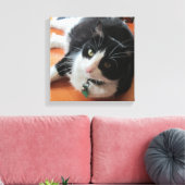 Toile Smokey Le Canvas Chat Imprimer (Insitu(Salon))