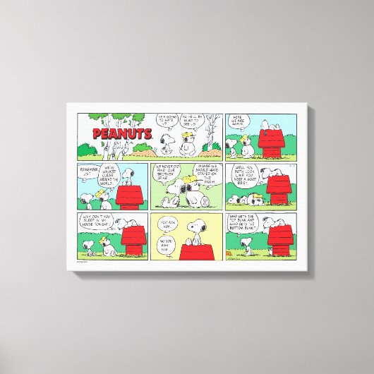 Toile Snoopy et ses frères Andy & Olaf (Recto)