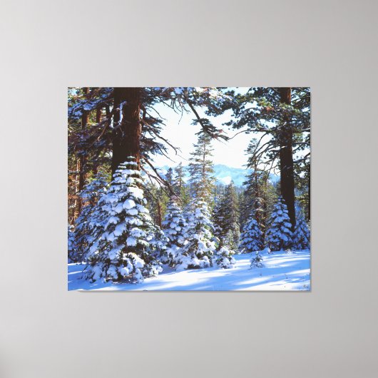 Toile Snow-covered Red Fir trees (Recto)