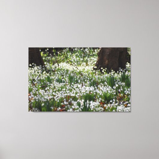 Toile Snowdrops (Recto)