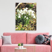 TOILE SNOWDROPS (Insitu(Salon))