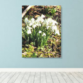 TOILE SNOWDROPS (Insitu (Plancher de Bois))