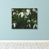 Toile Snowdrops I (Insitu (Plancher de Bois))