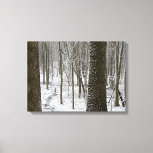 Toile Snowy Woods