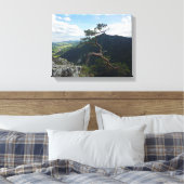 Toile Sokolica, Pieniny (Insitu(Chambre))