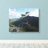 Toile Sokolica, Pieniny (Insitu (Plancher de Bois))