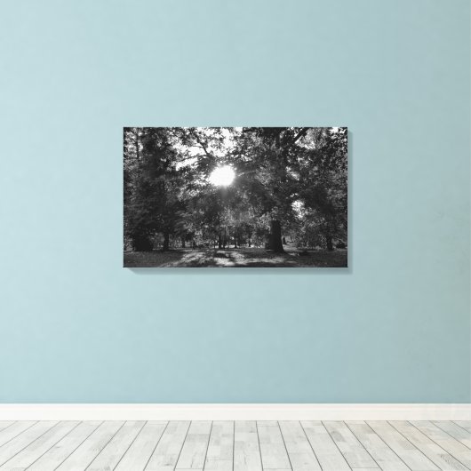 Toile Soleil brillant à travers les arbres (Insitu (Plancher de Bois))