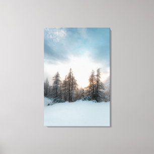 Toile Soleil derrière les épinettes
