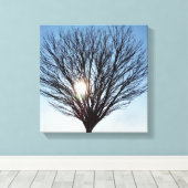 Toile soleil d'hiver (Insitu (Plancher de Bois))