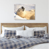 Toile Sommeil de l'ours polaire (Insitu(Chambre))
