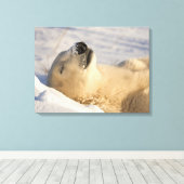 Toile Sommeil de l'ours polaire (Insitu (Plancher de Bois))