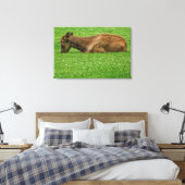 Toile Sommeil petit un (Insitu(Chambre))