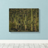 Toile Sonoran Desert Arizona (Insitu (Plancher de Bois))