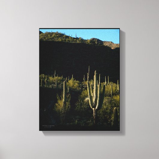 Toile Sonoran Desert Scène avec Saguaro Cactus géant (Recto)