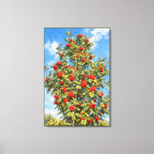 Toile Sorbier ensoleillé aux grappes de baies écarlates