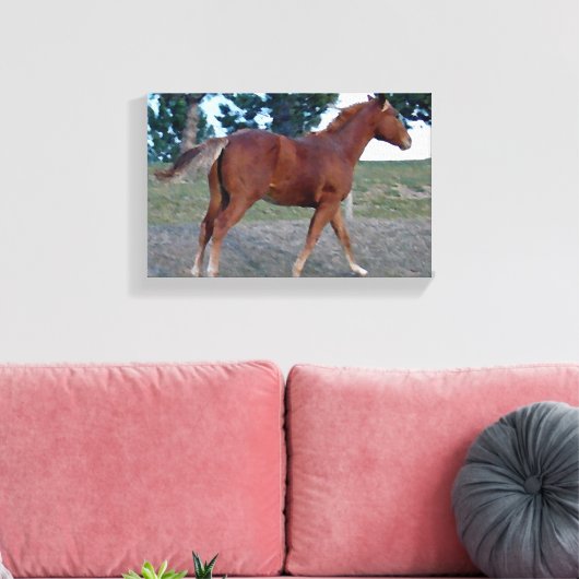 Toile Sorrel Yearling (Insitu(Salon))