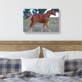 Toile Sorrel Yearling (Insitu(Chambre))