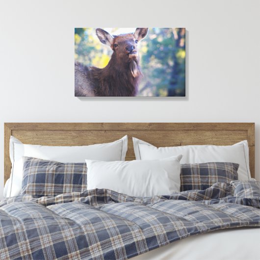 Toile Sourire (Insitu(Chambre))