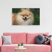 Toile Sourire de Poméranie (Insitu(Salon))