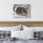 Toile Souris des bois  (Insitu(Chambre))