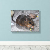 Toile Souris des bois  (Insitu (Plancher de Bois))