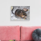 Toile Souris des bois  (Insitu(Salon))