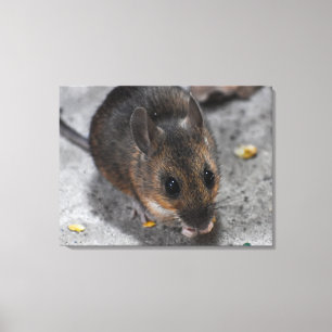 Toile Souris des bois 