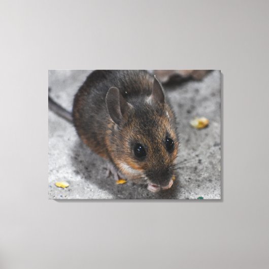 Toile Souris des bois  (Recto)