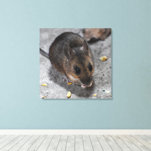 Toile Souris en bois (Insitu (Plancher de Bois))