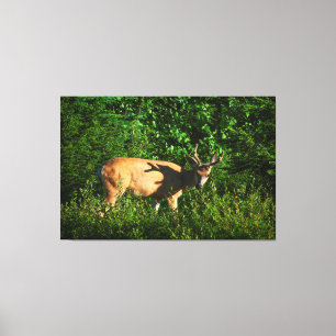 Toile Soyez sur votre chemin