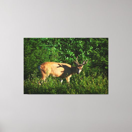 Toile Soyez sur votre chemin (Recto)
